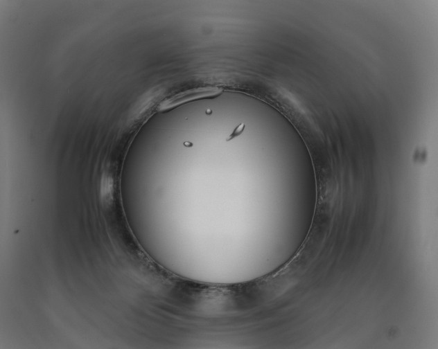 X0000090600124200707311209