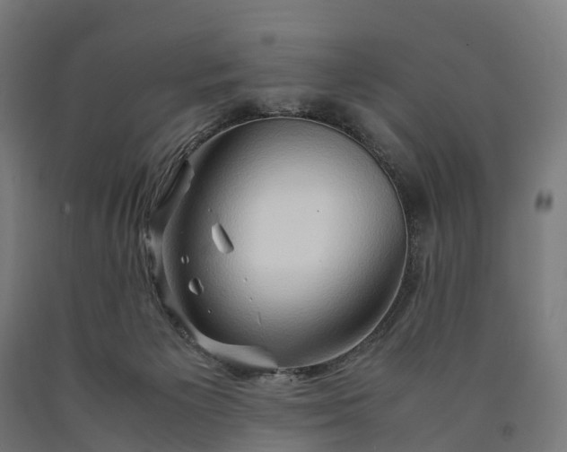 X0000090600125200707311209