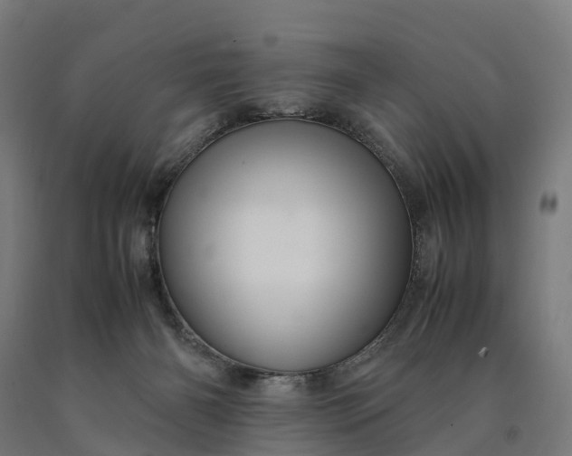 X0000090600126200707311209