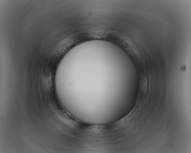 X0000090600128200707311209