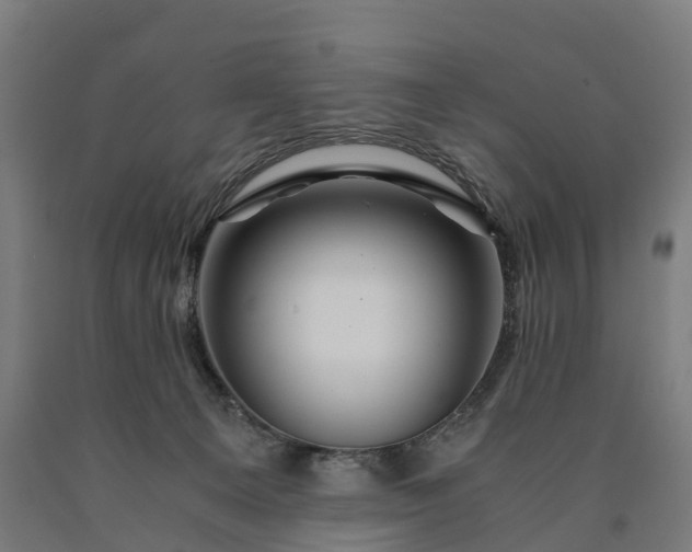 X0000090600129200707311209