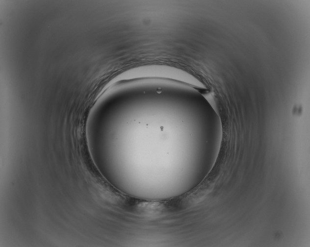 X0000090600133200707311209