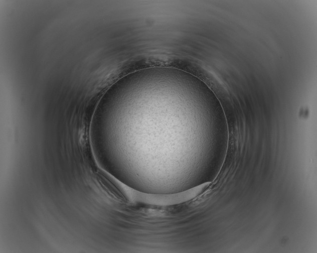 X0000090600134200707311209