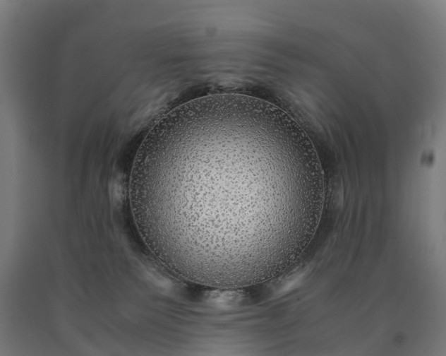 X0000090600135200707311209