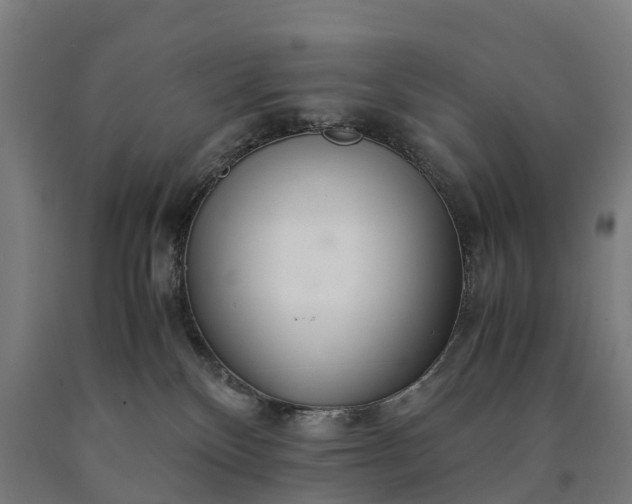 X0000090600136200707311209