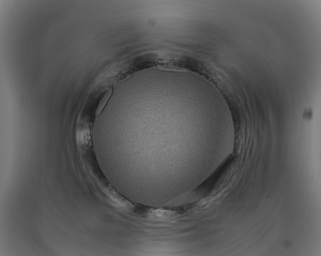 X0000090600137200707311209