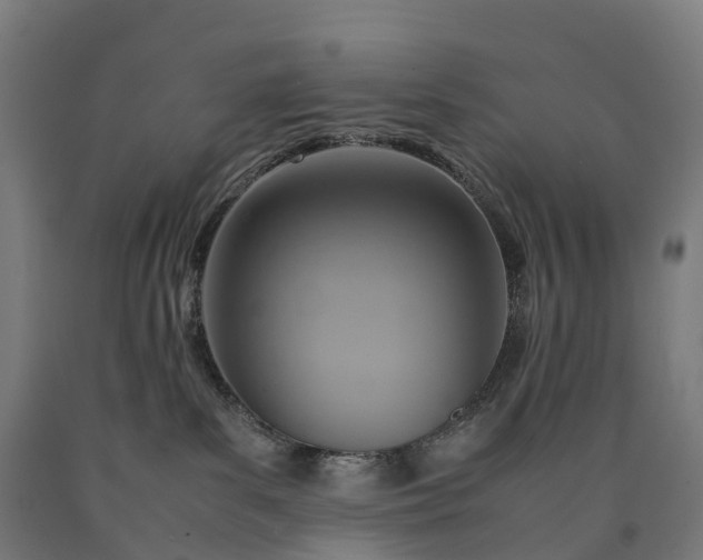 X0000090600139200707311209