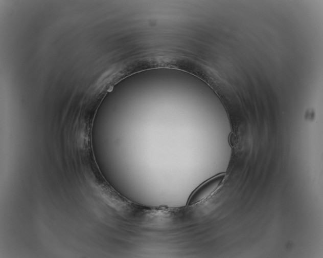 X0000090600140200707311209