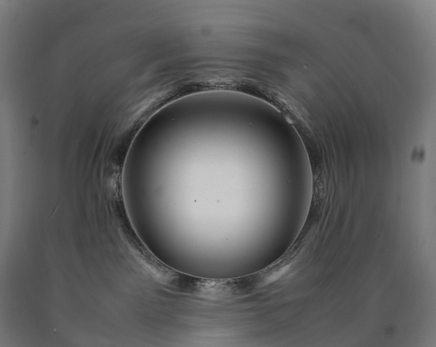 X0000090600141200707311209