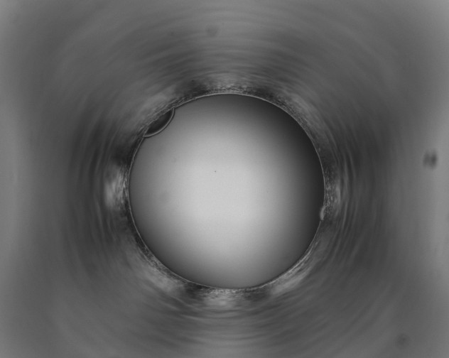 X0000090600142200707311209