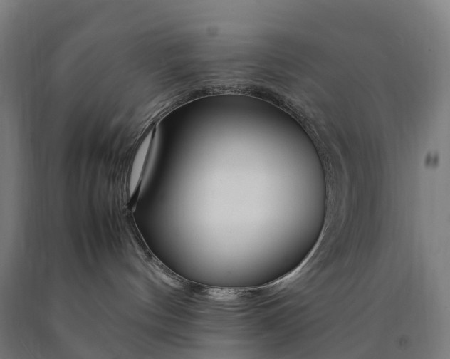 X0000090600144200707311209