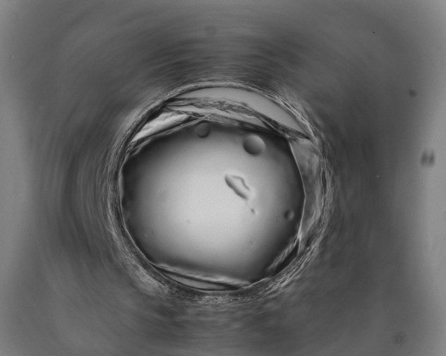 X0000090600145200707311208