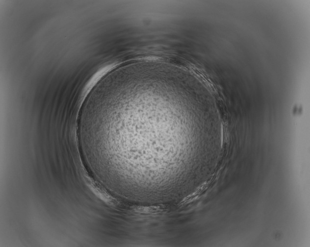 X0000090600147200707311208