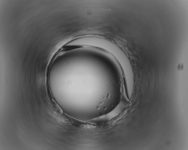 X0000090600148200707311208