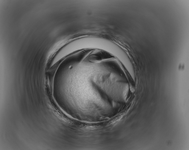 X0000090600149200707311208