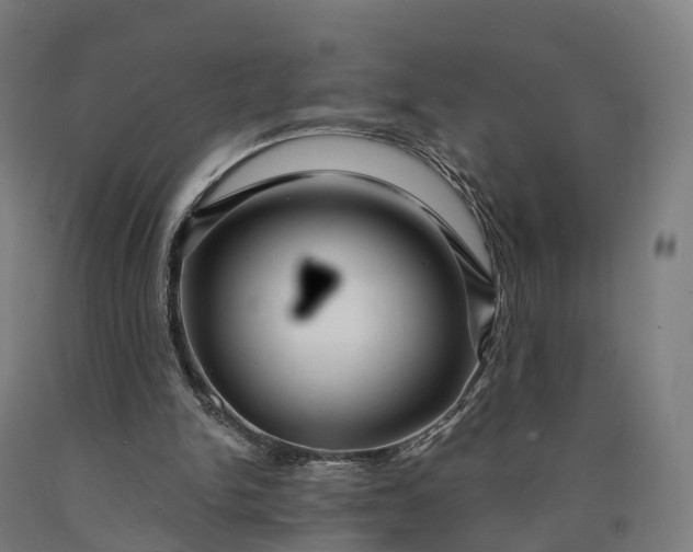 X0000090600150200707311208