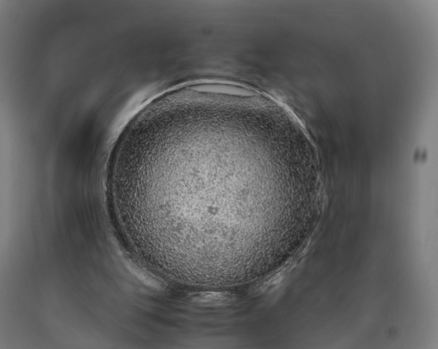 X0000090600151200707311208