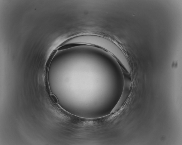 X0000090600152200707311208