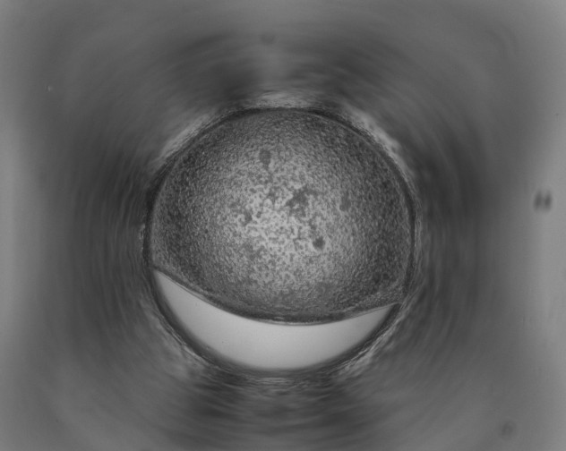 X0000090600153200707311208