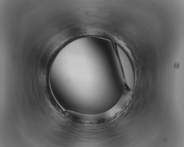 X0000090600154200707311208