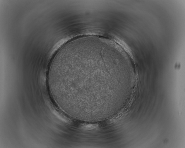 X0000090600155200707311208