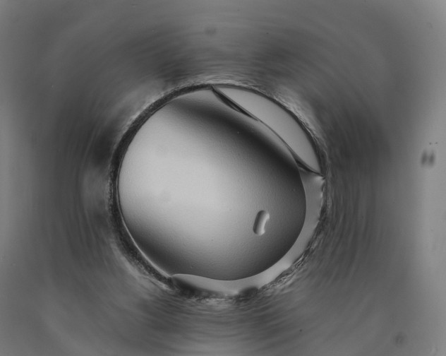 X0000090600156200707311208