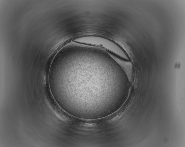 X0000090600157200707311208