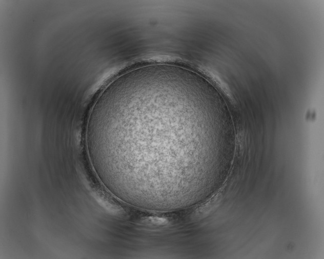 X0000090600159200707311208