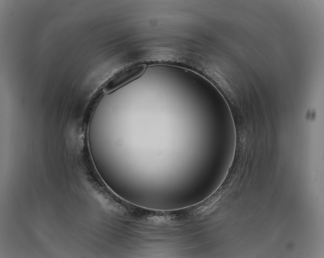 X0000090600160200707311208