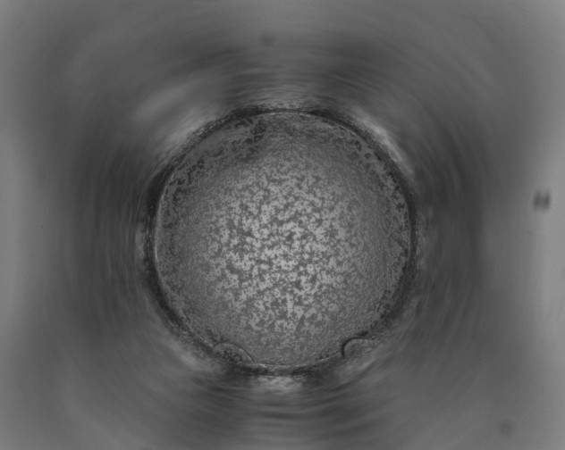 X0000090600161200707311208