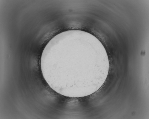 X0000090600162200707311208