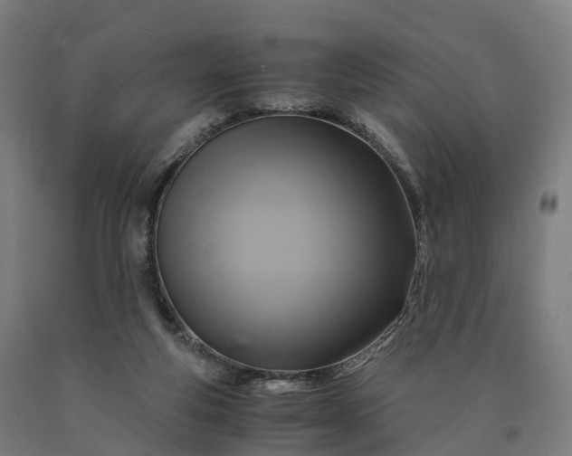 X0000090600163200707311208