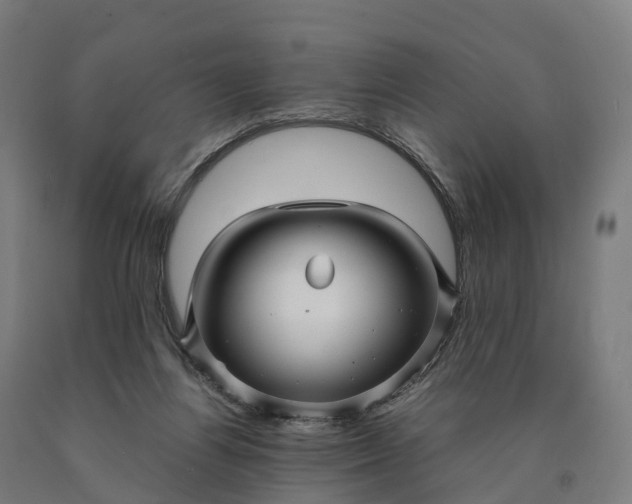 X0000090600164200707311208