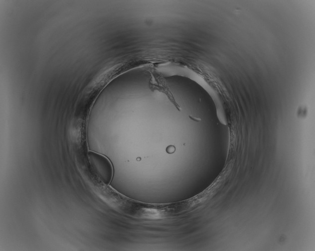 X0000090600167200707311208