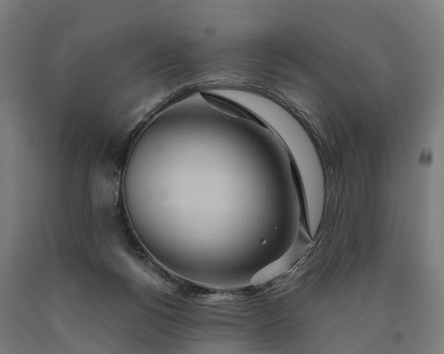 X0000090600168200707311209