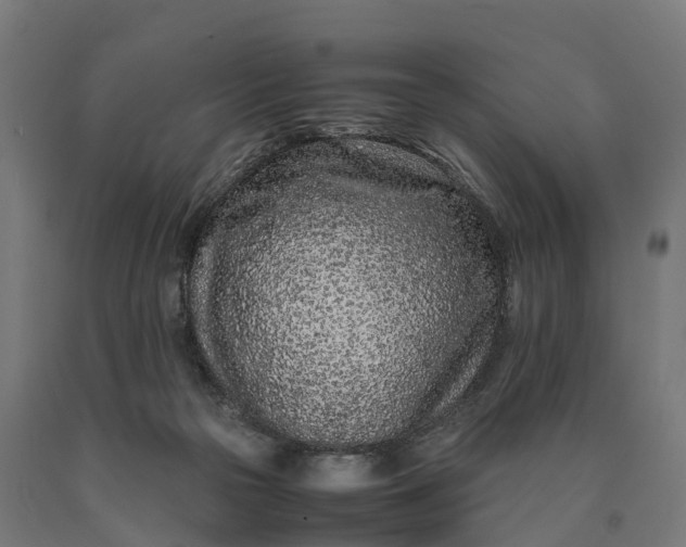 X0000090600169200707311209