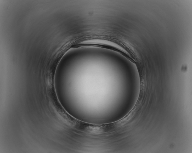 X0000090600170200707311209