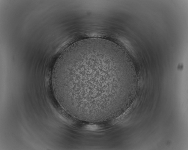 X0000090600171200707311209