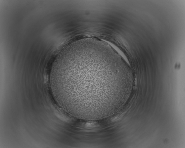 X0000090600173200707311209