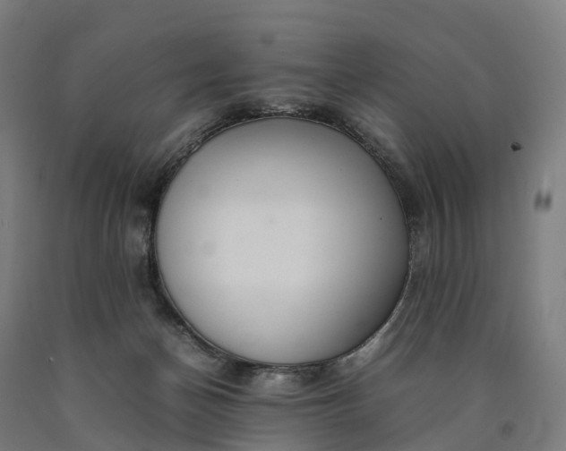 X0000090600174200707311209