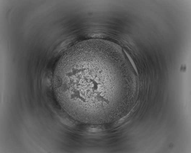 X0000090600175200707311209