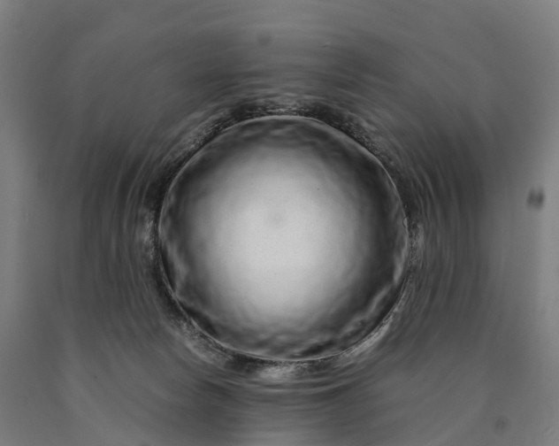 X0000090600178200707311209