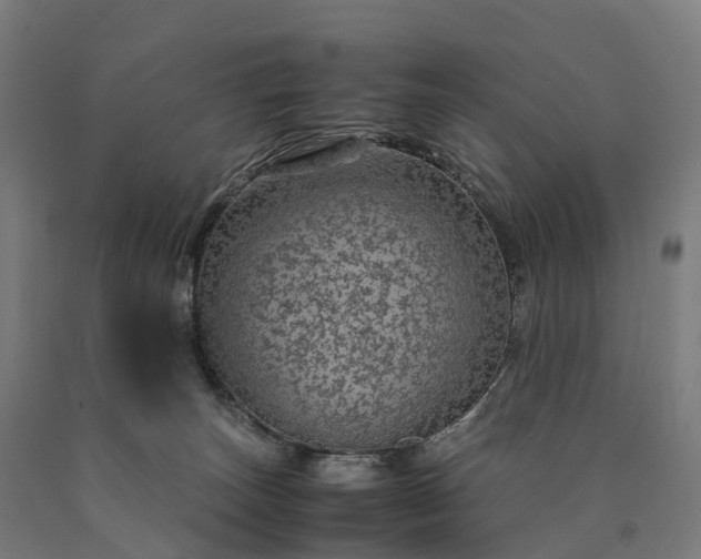 X0000090600179200707311209