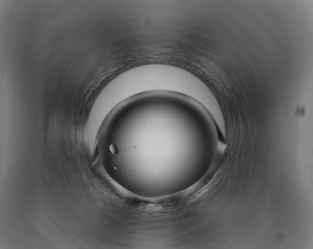 X0000090600180200707311209