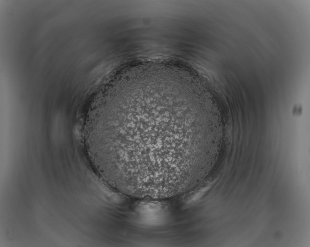 X0000090600181200707311209