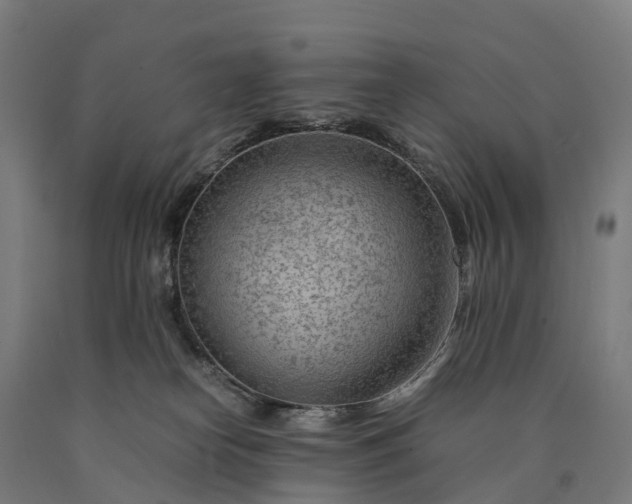 X0000090600182200707311209