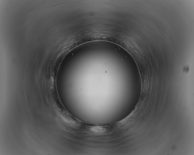 X0000090600183200707311209