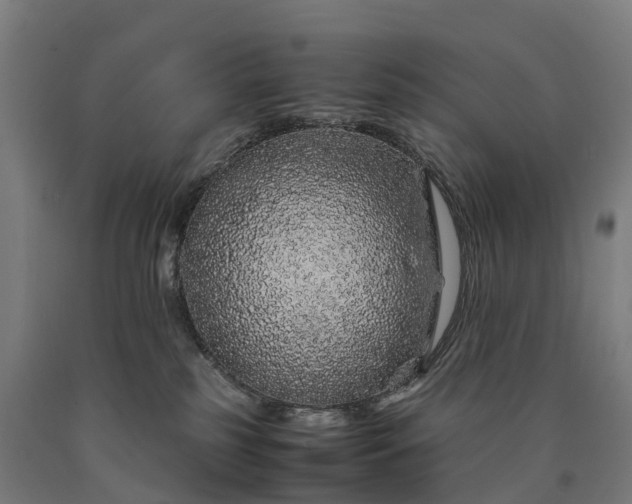 X0000090600185200707311209