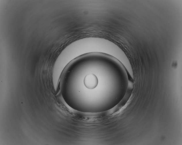 X0000090600186200707311209