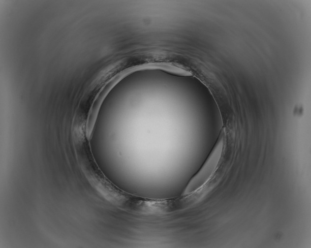 X0000090600188200707311209